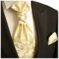Preview: Hochzeitskrawatte Plastron gold creme mit Einstecktuch | Bräutigam Hochzeit Krawatte