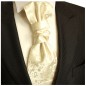 Preview: Hochzeitskrawatte | Plastron champagner floral Hochzeit Krawatte